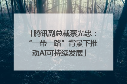 腾讯副总裁蔡光忠：“一带一路”背景下推动AI可持续发展