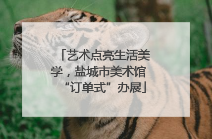艺术点亮生活美学，盐城市美术馆“订单式”办展