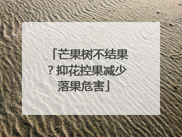 芒果树不结果？抑花控果减少落果危害