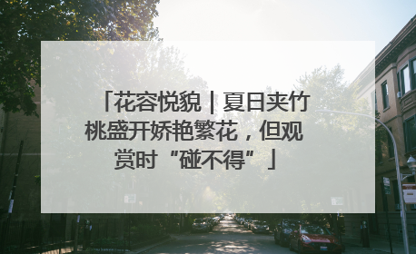 花容悦貌｜夏日夹竹桃盛开娇艳繁花，但观赏时“碰不得”