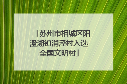 苏州市相城区阳澄湖镇消泾村入选全国文明村
