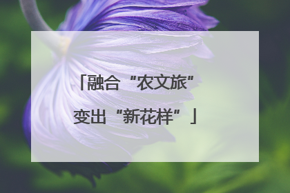 融合“农文旅” 变出“新花样”