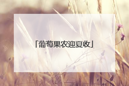 葡萄果农迎夏收