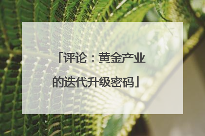 评论：黄金产业的迭代升级密码