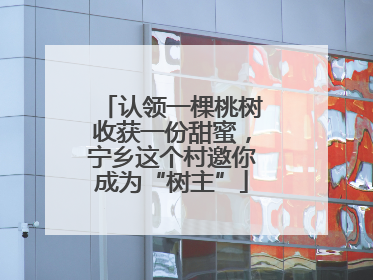 认领一棵桃树收获一份甜蜜，宁乡这个村邀你成为“树主”