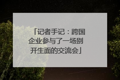 记者手记：跨国企业参与了一场别开生面的交流会