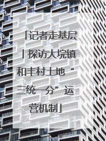 记者走基层丨探访大垸镇和丰村土地“三统一分”运营机制