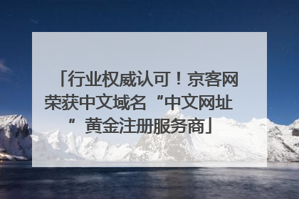 行业权威认可！京客网荣获中文域名“中文网址”黄金注册服务商