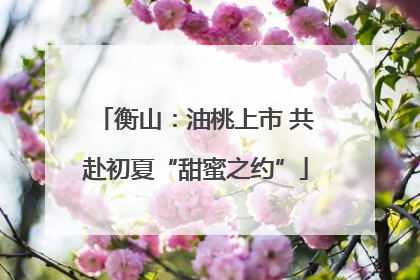 衡山：油桃上市 共赴初夏“甜蜜之约”