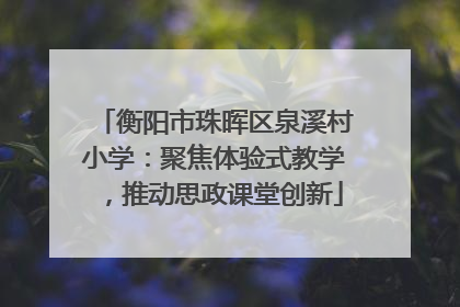 衡阳市珠晖区泉溪村小学：聚焦体验式教学，推动思政课堂创新