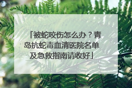 被蛇咬伤怎么办？青岛抗蛇毒血清医院名单及急救指南请收好