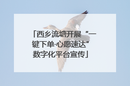 西乡流塘开展“一键下单·心愿速达”数字化平台宣传
