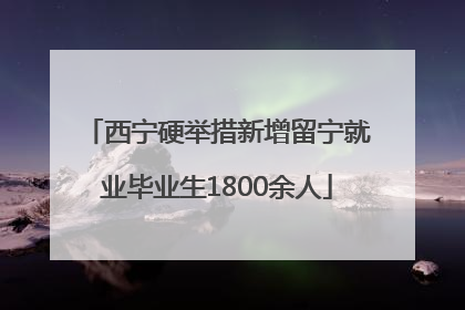 西宁硬举措新增留宁就业毕业生1800余人