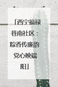 西宁福禄巷南社区：粽香传廉韵 党心映端阳
