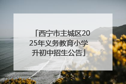 西宁市主城区2025年义务教育小学升初中招生公告