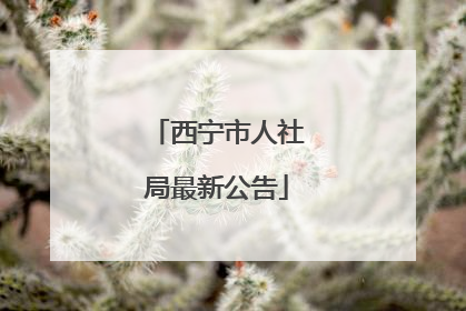 西宁市人社局最新公告
