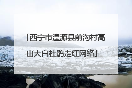 西宁市湟源县前沟村高山大白杜鹃走红网络