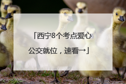西宁8个考点爱心公交就位，速看→