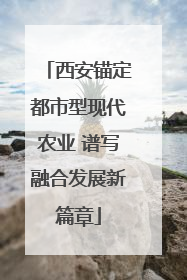 西安锚定都市型现代农业 谱写融合发展新篇章
