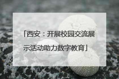 西安：开展校园交流展示活动助力数字教育