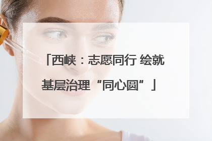 西峡：志愿同行 绘就基层治理“同心圆”