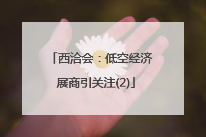 西洽会：低空经济展商引关注(2)