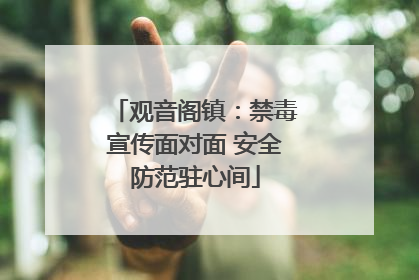 观音阁镇：禁毒宣传面对面 安全防范驻心间