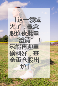 这一领域火了，概念股连夜批量“澄清”！氢能再迎重磅利好，基金重仓股出炉