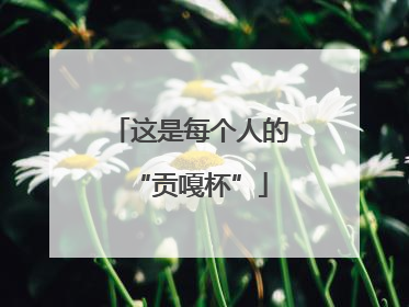 这是每个人的“贡嘎杯”