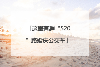 这里有趟“520”路婚庆公交车