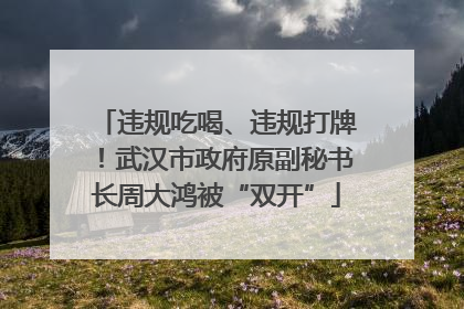 违规吃喝、违规打牌！武汉市政府原副秘书长周大鸿被“双开”