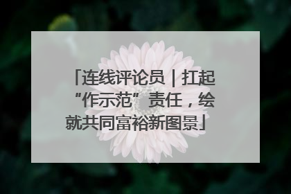 连线评论员｜扛起“作示范”责任，绘就共同富裕新图景