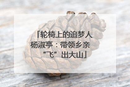 轮椅上的追梦人杨淑亭：带领乡亲“飞”出大山
