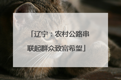 辽宁：农村公路串联起群众致富希望