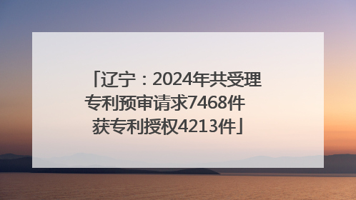 辽宁：2024年共受理专利预审请求7468件 获专利授权4213件