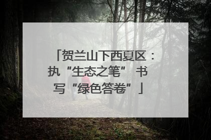 贺兰山下西夏区：执“生态之笔” 书写“绿色答卷”