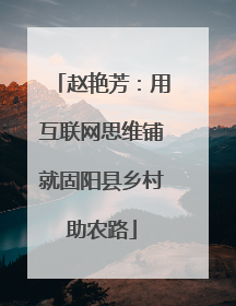 赵艳芳：用互联网思维铺就固阳县乡村助农路