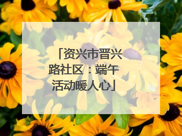 资兴市晋兴路社区：端午活动暖人心
