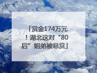 赏金174万元！湖北这对“80后”姐弟被悬赏