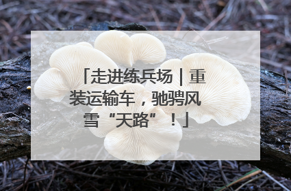 走进练兵场｜重装运输车，驰骋风雪“天路”！
