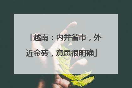 越南：内并省市，外近金砖，意思很明确