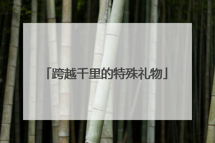 跨越千里的特殊礼物