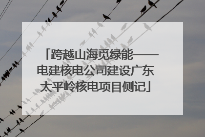 跨越山海觅绿能——电建核电公司建设广东太平岭核电项目侧记