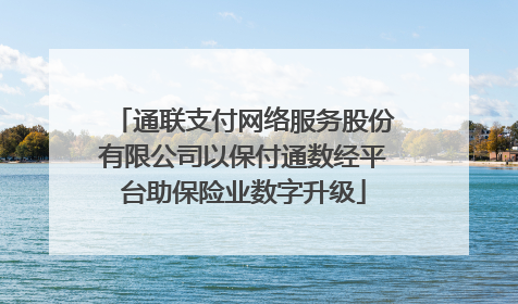 通联支付网络服务股份有限公司以保付通数经平台助保险业数字升级
