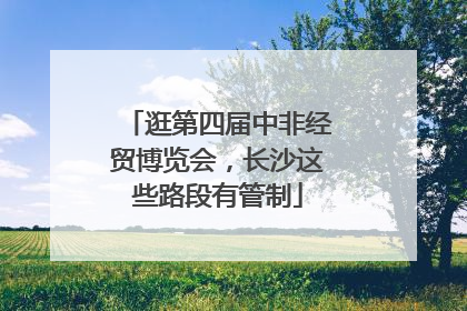 逛第四届中非经贸博览会，长沙这些路段有管制