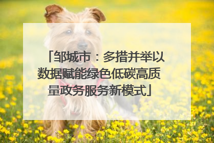 邹城市：多措并举以数据赋能绿色低碳高质量政务服务新模式