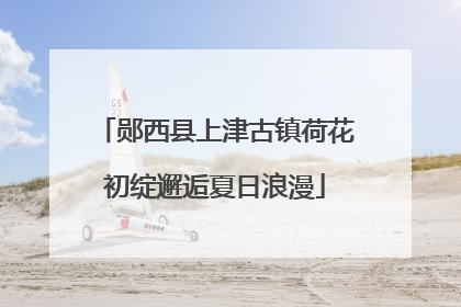 郧西县上津古镇荷花初绽邂逅夏日浪漫