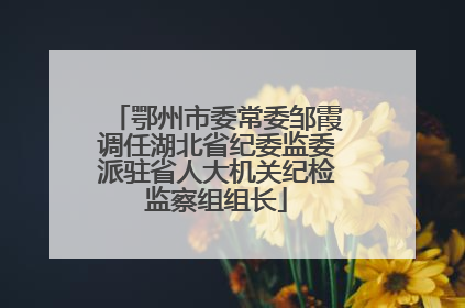鄂州市委常委邹霞调任湖北省纪委监委派驻省人大机关纪检监察组组长