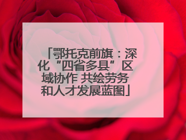 鄂托克前旗：深化“四省多县”区域协作 共绘劳务和人才发展蓝图