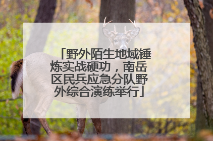 野外陌生地域锤炼实战硬功，南岳区民兵应急分队野外综合演练举行